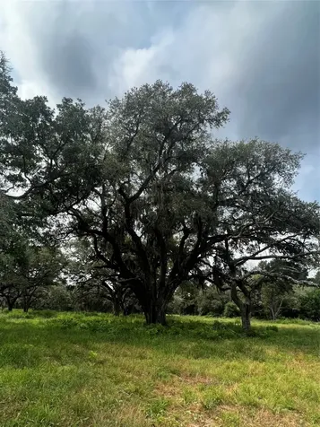 Tbd Cr 215 Weimar TX 78962