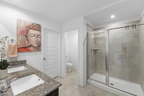 7534 Cynomys Court Rosharon TX 77583