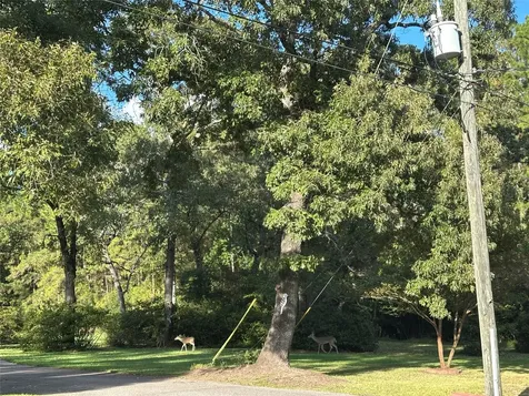 22219 Rainfern Drive Magnolia TX 77355
