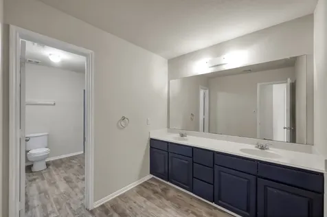 9997 Hyacinth Way Conroe TX 77385
