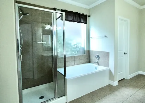 158 Black Swan Pl Place The Woodlands TX 77354