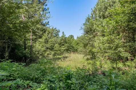 9238 Rocky Ridge Lane Madisonville TX 77864