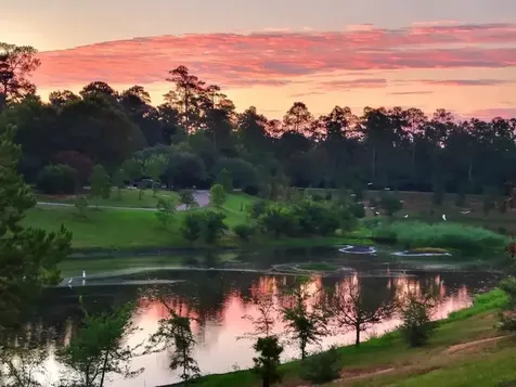 158 N Whistlers Bend Circle The Woodlands TX 77384