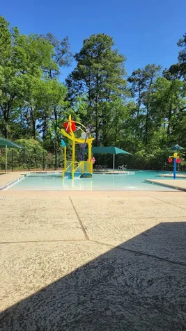 158 N Whistlers Bend Circle The Woodlands TX 77384