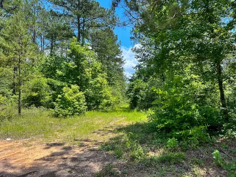 02 Highway 190 Oakhurst TX 77359
