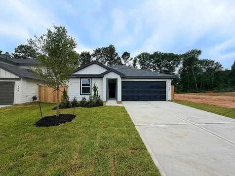 196 Golden Eagle Boulevard New Waverly TX 77358