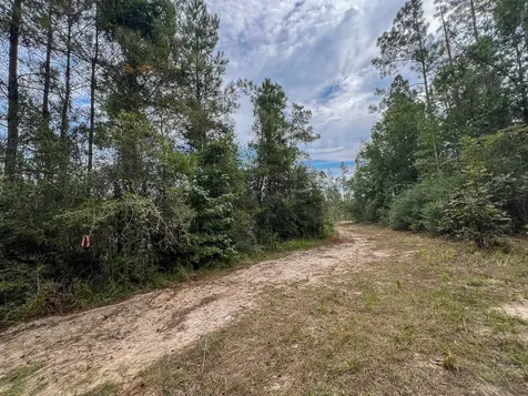 2 Off Fm 1416 Kirbyville TX 75933