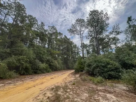 2 Off Fm 1416 Kirbyville TX 75933