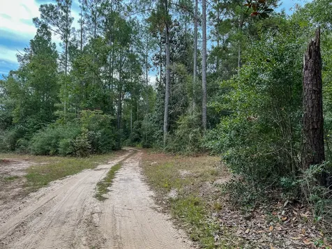 2 Off Fm 1416 Kirbyville TX 75933