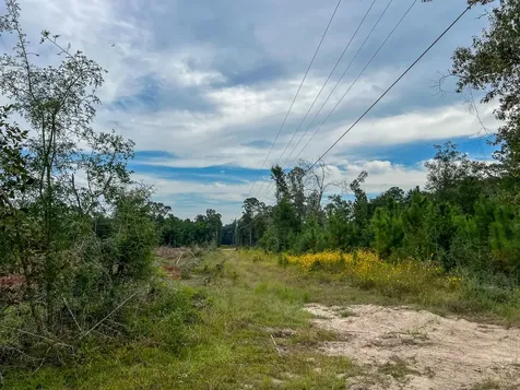 2 Off Fm 1416 Kirbyville TX 75933