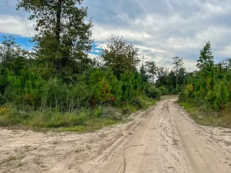 2 Off Fm 1416 Kirbyville TX 75933