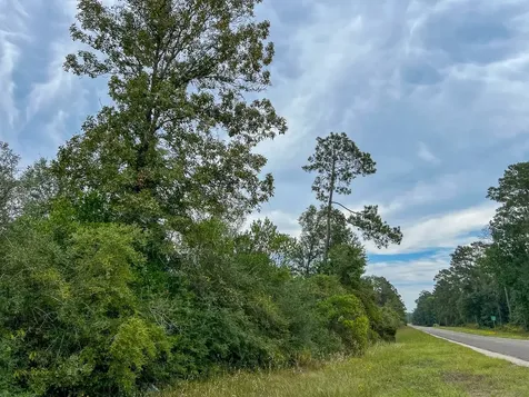 2 Off Fm 1416 Kirbyville TX 75933