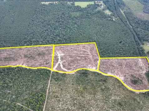 2 Off Fm 1416 Kirbyville TX 75933