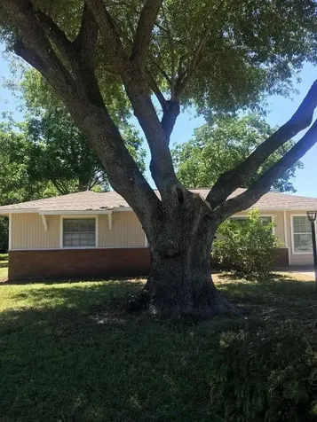 10614 Edgar Street Houston TX 77047