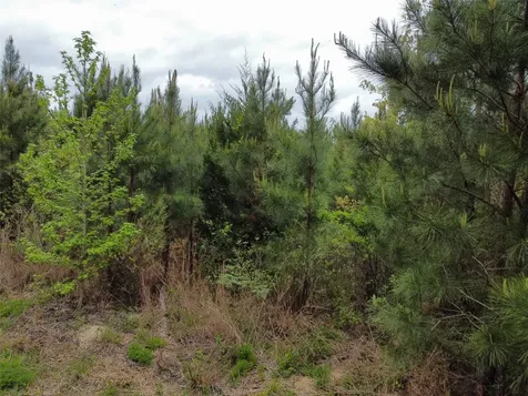 Tbd Joy Wright Mount Road Kilgore TX 75662