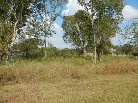 0 Rice Avenue Avenue Arcola TX 77583