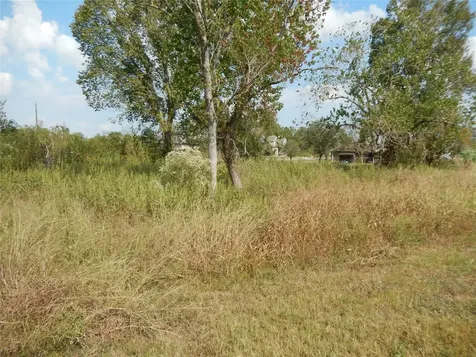 0 Rice Avenue Avenue Arcola TX 77583