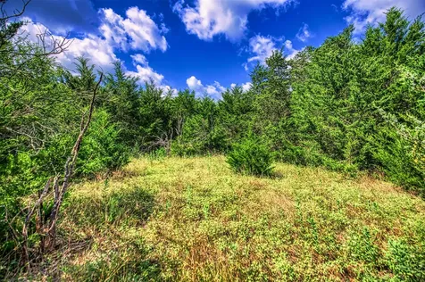 Lot 6 Wonder Hill Road Chappell Hill TX 77426