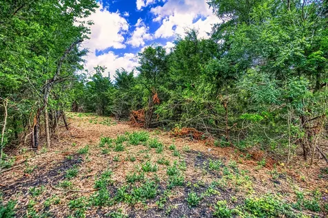 Lot 6 Wonder Hill Road Chappell Hill TX 77426