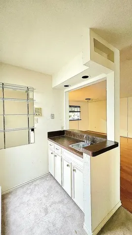 14118 Sandfield Drive Houston TX 77077