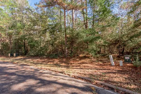 Tbd Queenswood Drive Huntsville TX 77320