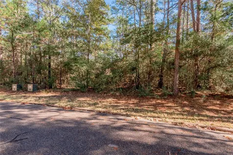 Tbd Queenswood Drive Huntsville TX 77320