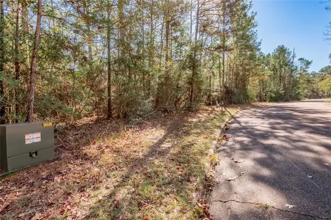 Tbd Queenswood Drive Huntsville TX 77320