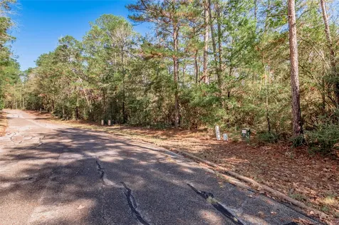 Tbd Queenswood Drive Huntsville TX 77320