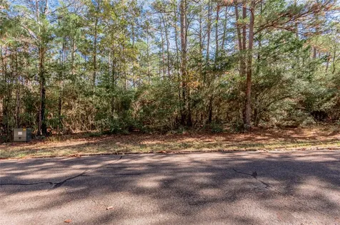 Tbd Queenswood Drive Huntsville TX 77320
