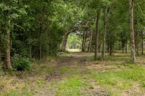 00 Ives Creek Road Bellville TX 77418