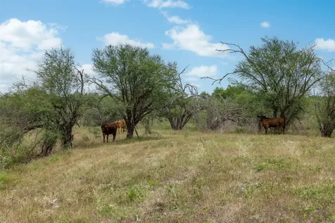 00 Ives Creek Road Bellville TX 77418