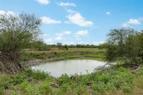 00 Ives Creek Road Bellville TX 77418