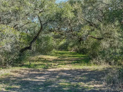 1746 County Road 103 Columbus TX 78934