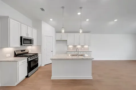 22516 Pagoda Dogwood Branch Drive New Caney TX 77357