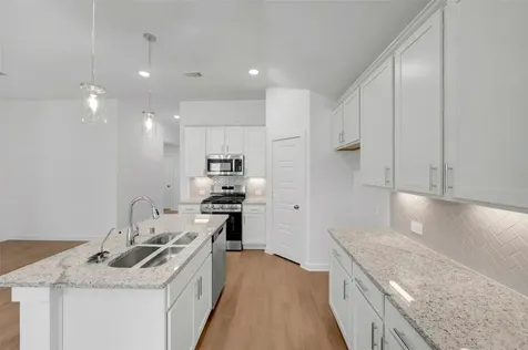22516 Pagoda Dogwood Branch Drive New Caney TX 77357
