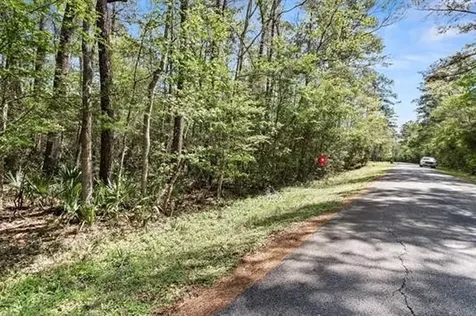 000 Lakeview Drive Sour Lake TX 77659