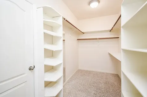 6203 Ledger Lane Missouri City TX 77459