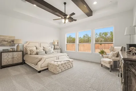41702 Lays Court Montgomery TX 77316