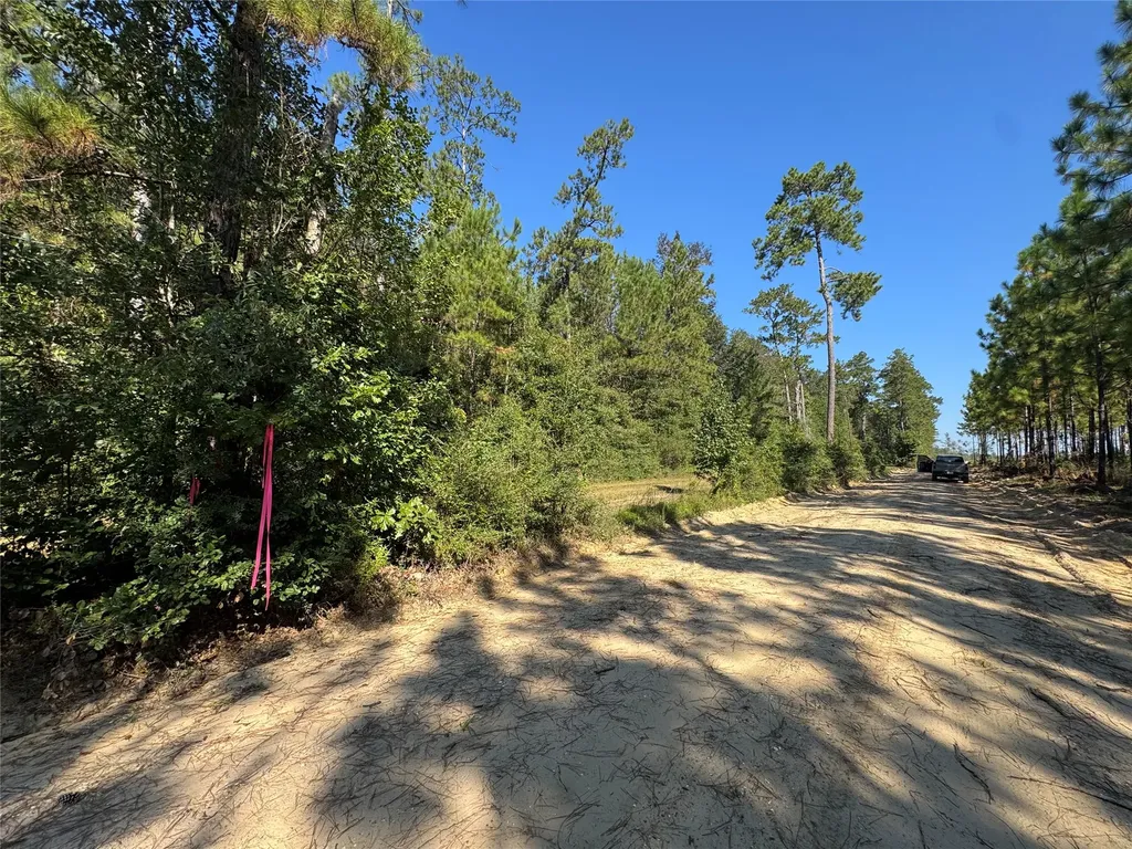 3072 & 3075 Creek Kirbyville TX 75956