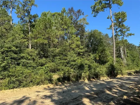 3072 & 3075 Creek Kirbyville TX 75956