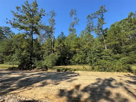 3072 & 3075 Creek Kirbyville TX 75956