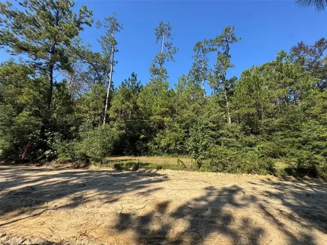3072 & 3075 Creek Kirbyville TX 75956