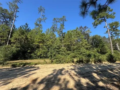 3072 & 3075 Creek Kirbyville TX 75956