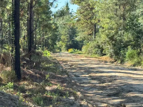 3072 & 3075 Creek Kirbyville TX 75956