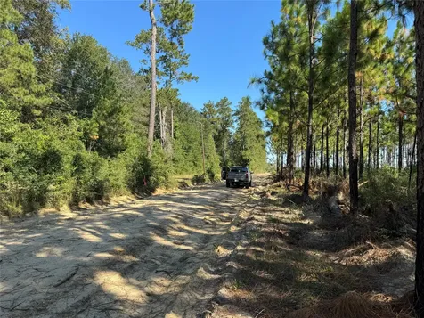 3072 & 3075 Creek Kirbyville TX 75956