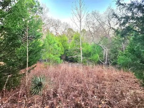 0 Mallard Way Larue TX 75770