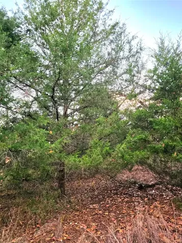 0 Mallard Way Larue TX 75770