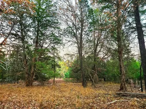 0 Mallard Way Larue TX 75770