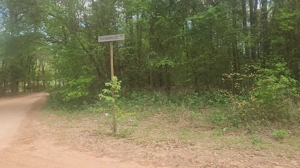 Lot 1 Thornwood Drive Plantersville TX 77363