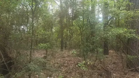 Lot 1 Thornwood Drive Plantersville TX 77363